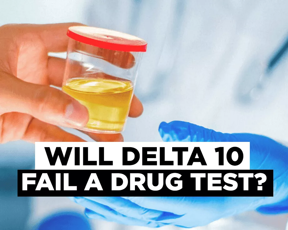Featured Post Image - Will delta 10 fail a drug test?